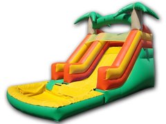 Tropical Water Slide with pool Tropical Water Slide with pool